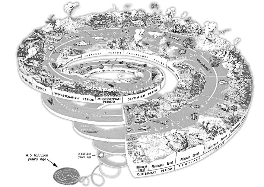 spirale geologico Disegno da colorare spirale geologico