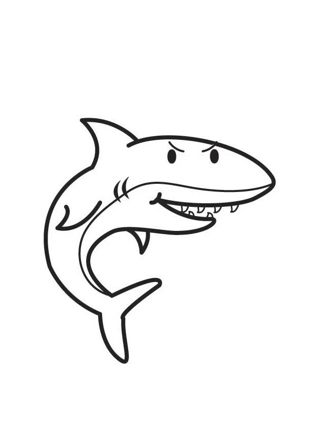 squalo Disegno da colorare squalo