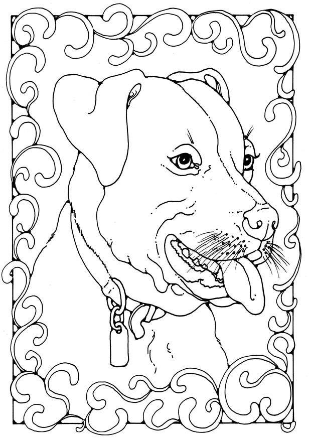 staffordshire bull terrier Disegno da colorare staffordshire bull terrier