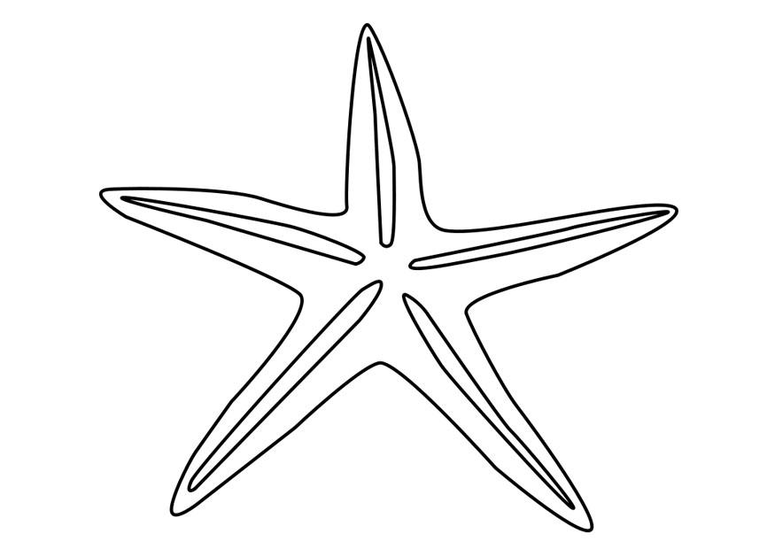 stella di mare Disegno da colorare stella di mare