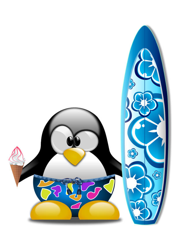 surf immagine surf