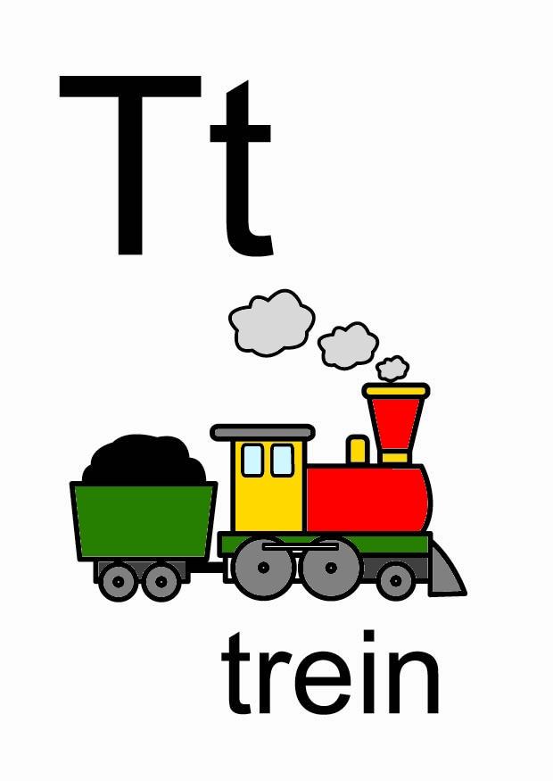 t immagine t