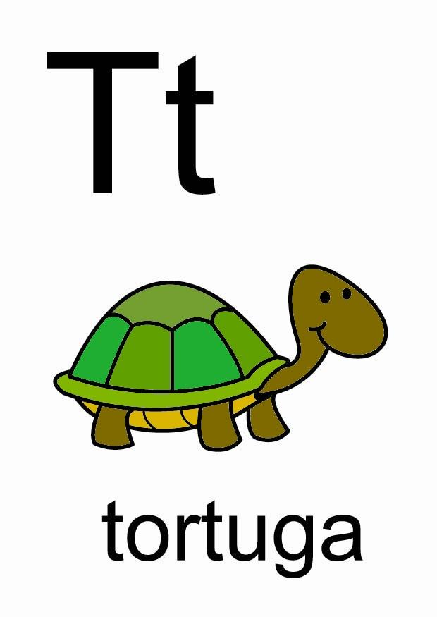 t immagine t