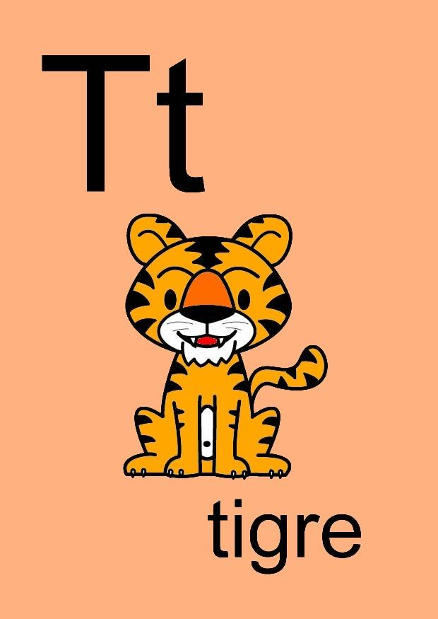 t immagine t