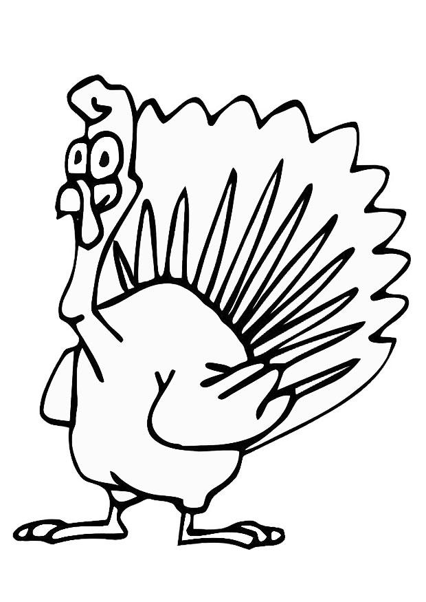 tacchino Disegno da colorare tacchino