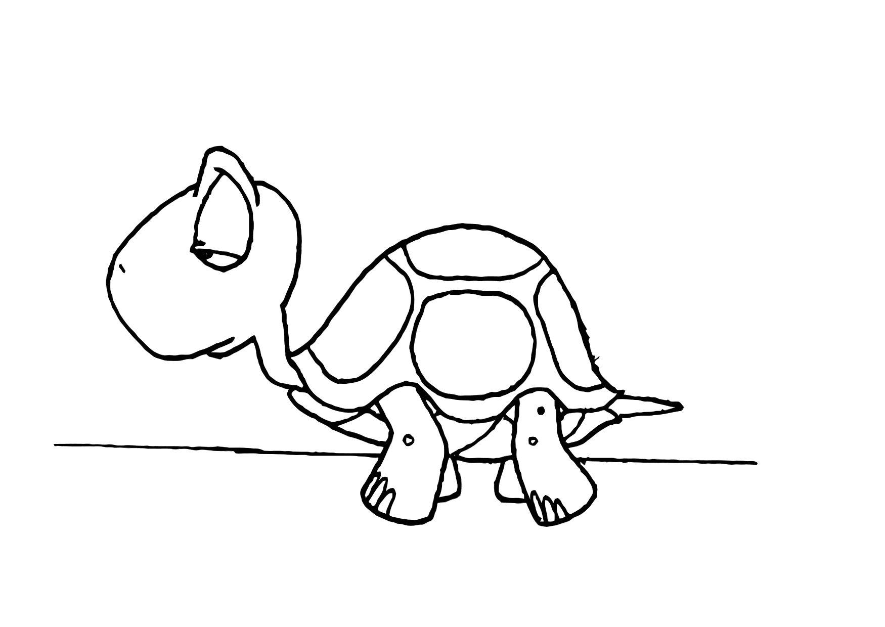 tartaruga Disegno da colorare tartaruga