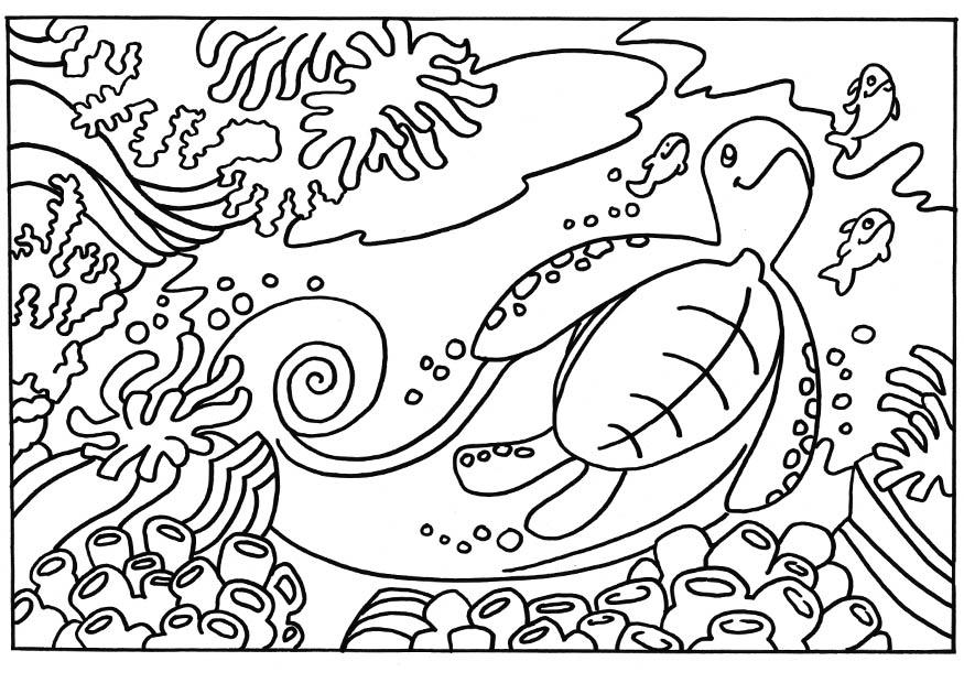 tartaruga Disegno da colorare tartaruga