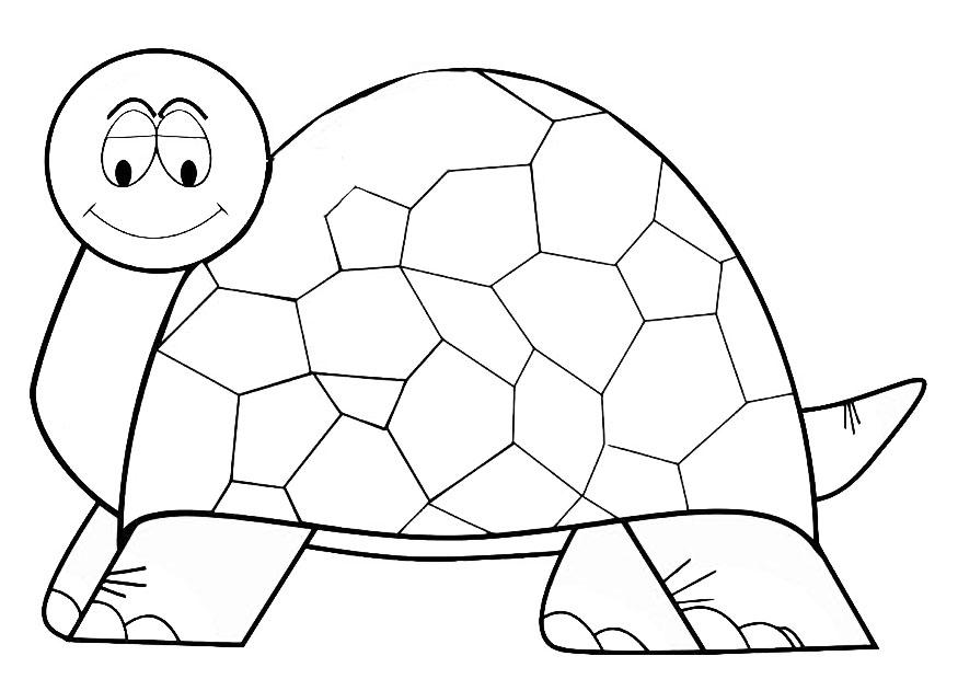 tartaruga Disegno da colorare tartaruga