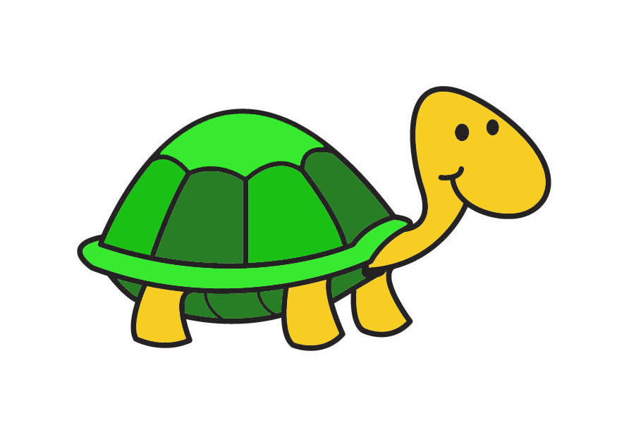 tartaruga immagine tartaruga