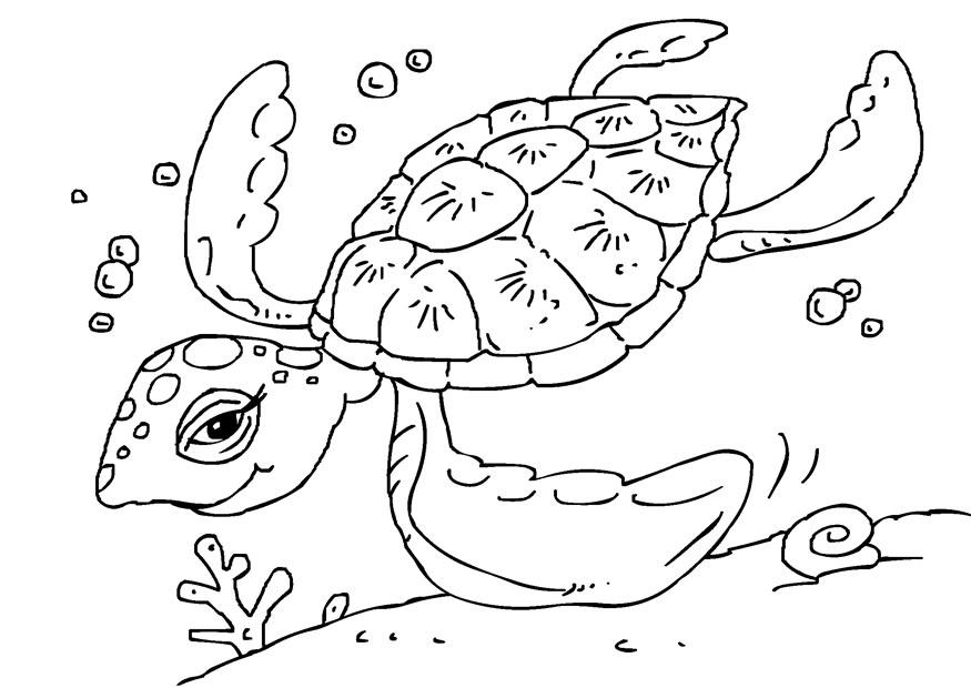 tartaruga di mare Disegno da colorare tartaruga di mare