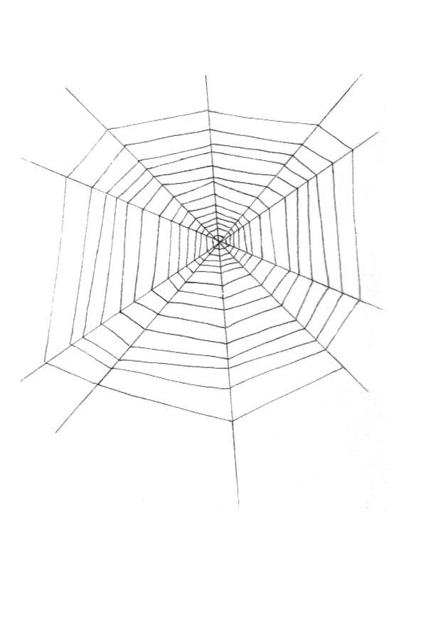 tela di ragno Disegno da colorare tela di ragno