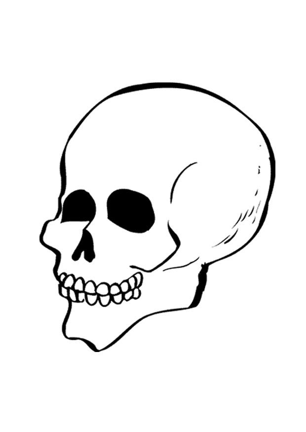 teschio Disegno da colorare teschio