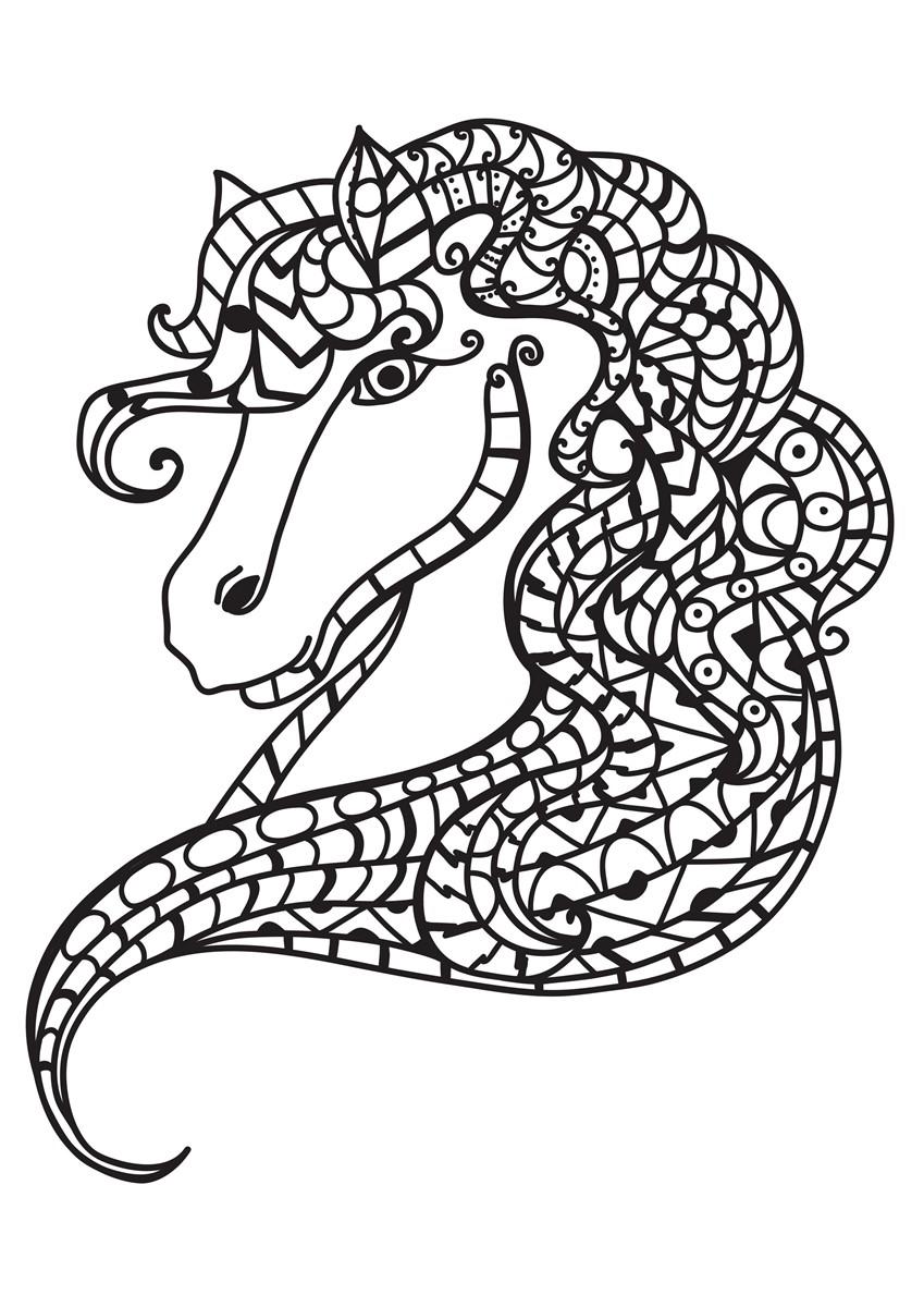 testa di cavallo Disegno da colorare testa di cavallo