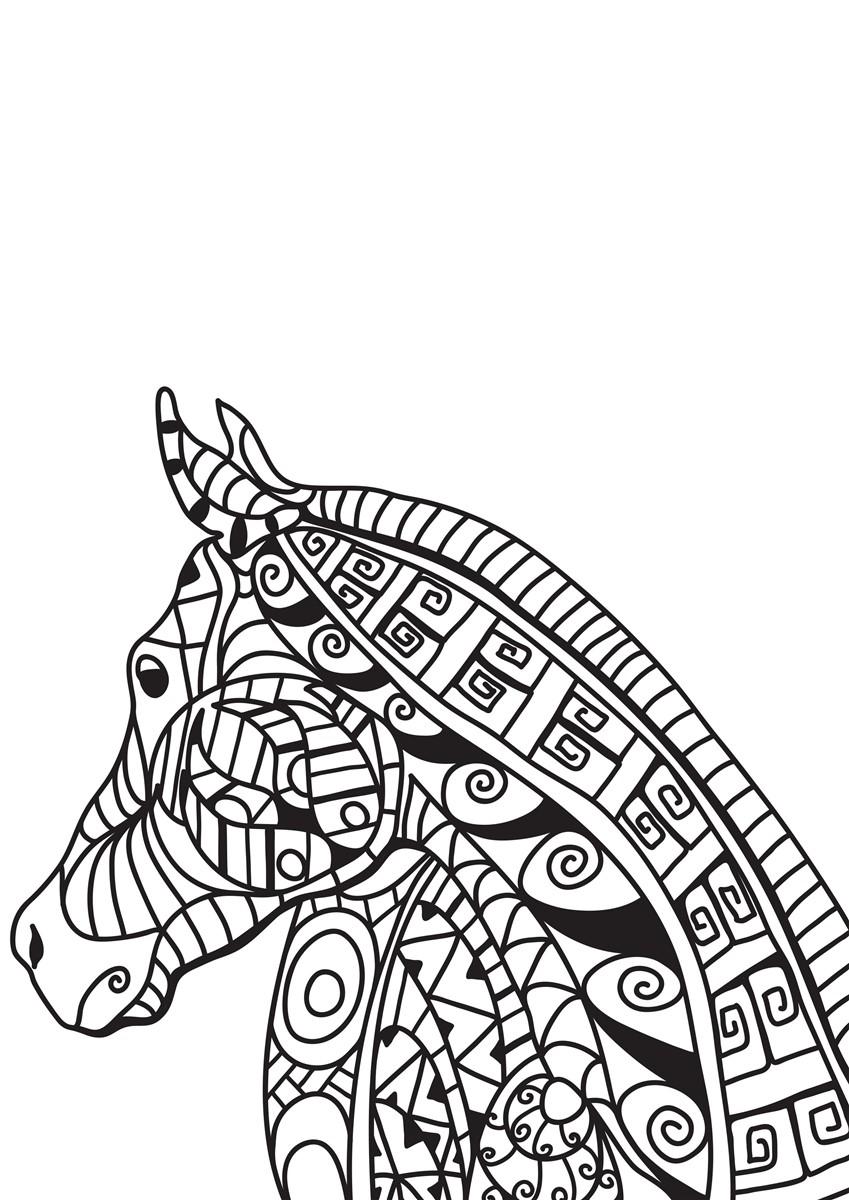testa di cavallo Disegno da colorare testa di cavallo