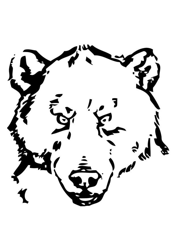 testa di orso Disegno da colorare testa di orso