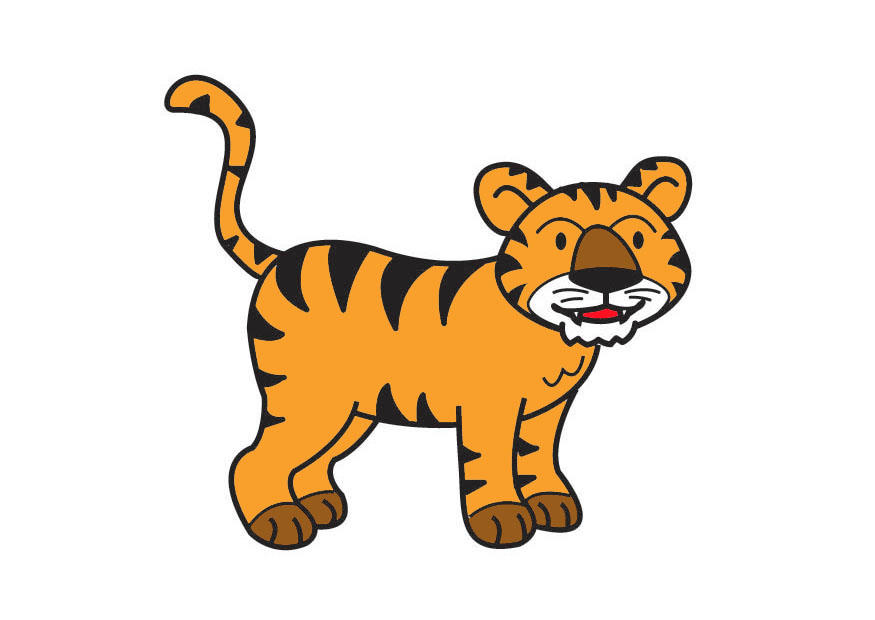 tigre immagine tigre