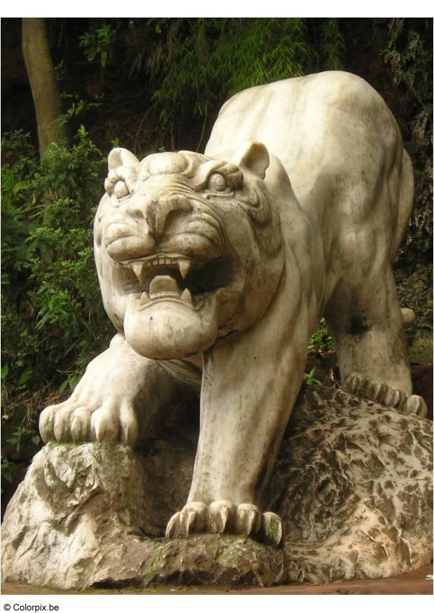 tigre al parco leshan Foto tigre al parco leshan
