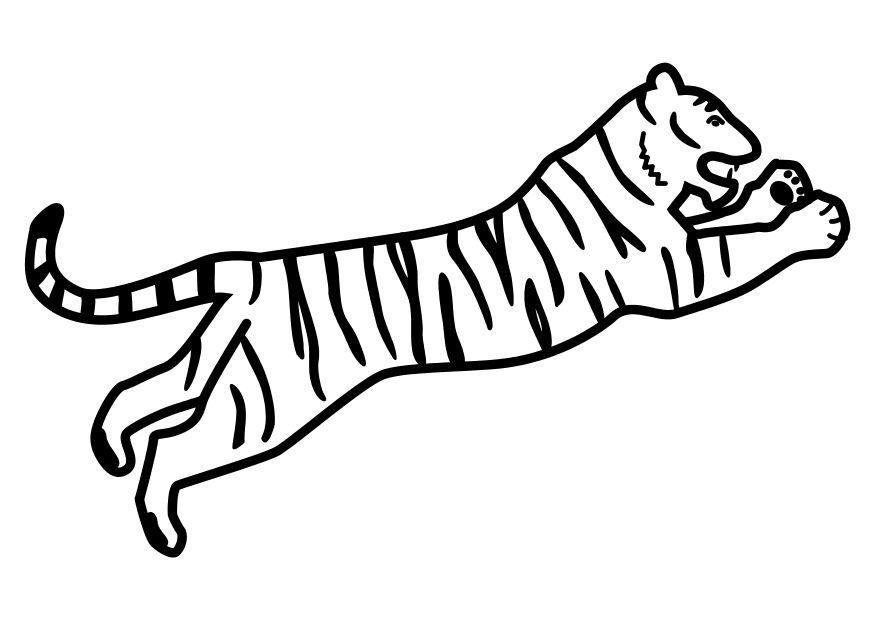 tigre che salta Disegno da colorare tigre che salta