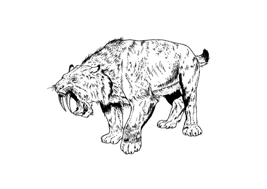 tigre con denti a sciabola Disegno da colorare tigre con denti a sciabola