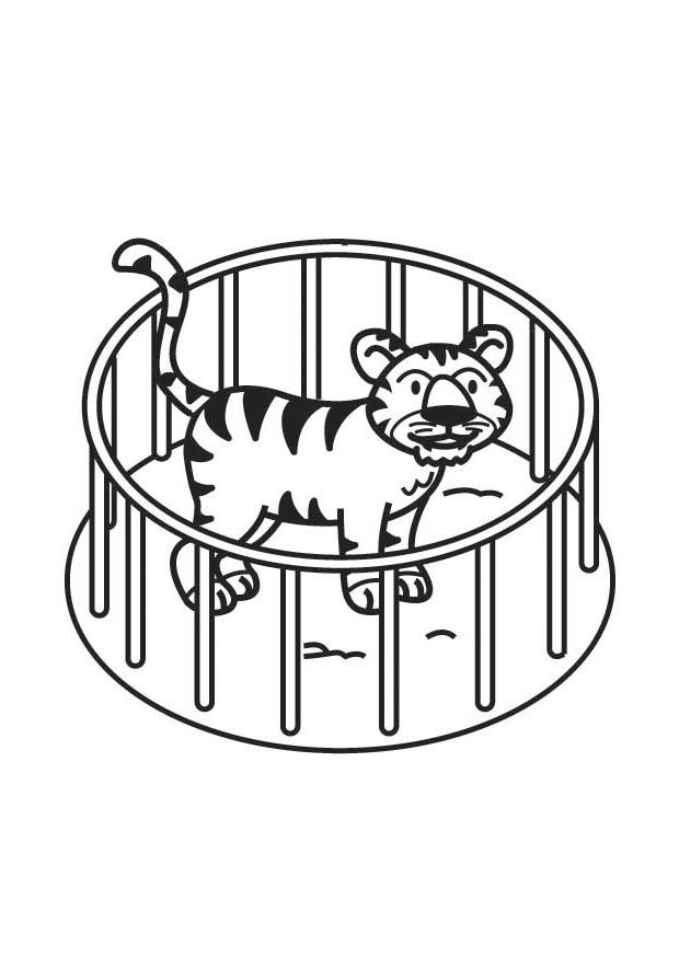 tigre in gabbia Disegno da colorare tigre in gabbia