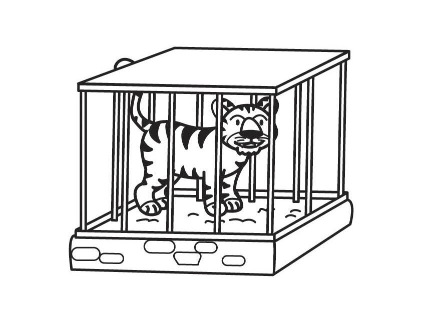 tigre in gabbia Disegno da colorare tigre in gabbia