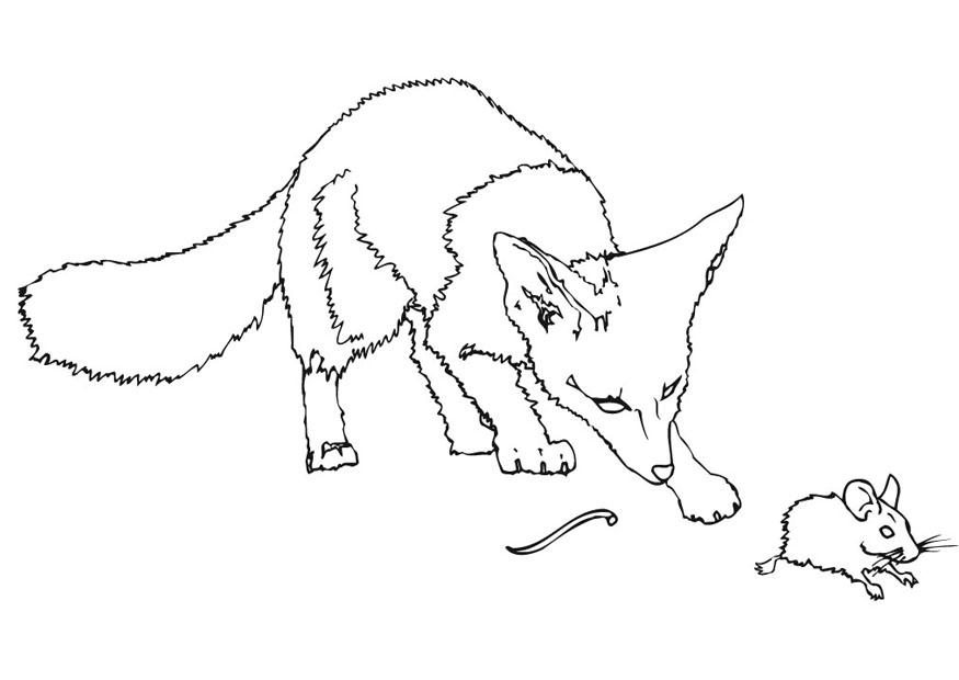 topino senza coda Disegno da colorare topino senza coda