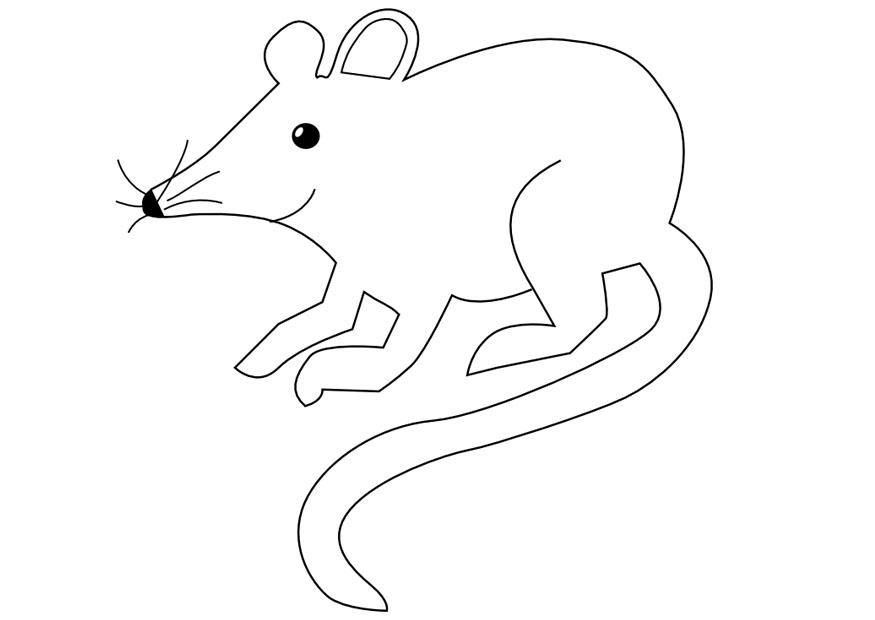 topo Disegno da colorare topo