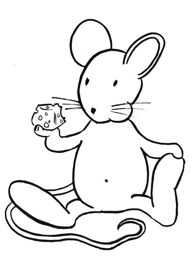 topo transi Disegno da colorare topo transi