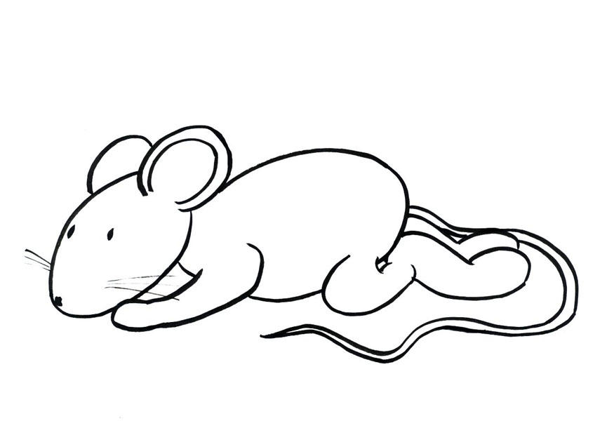 topo transi Disegno da colorare topo transi