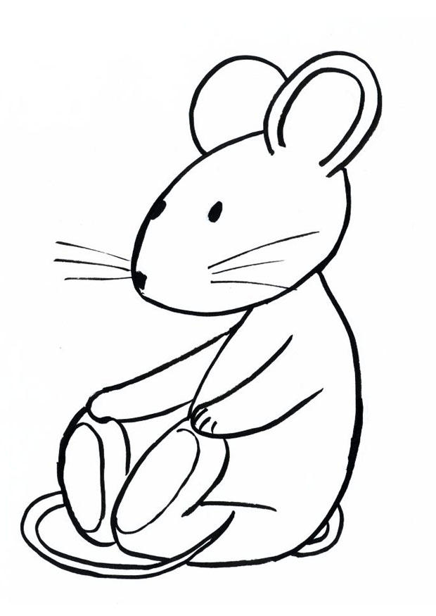 topo transi Disegno da colorare topo transi