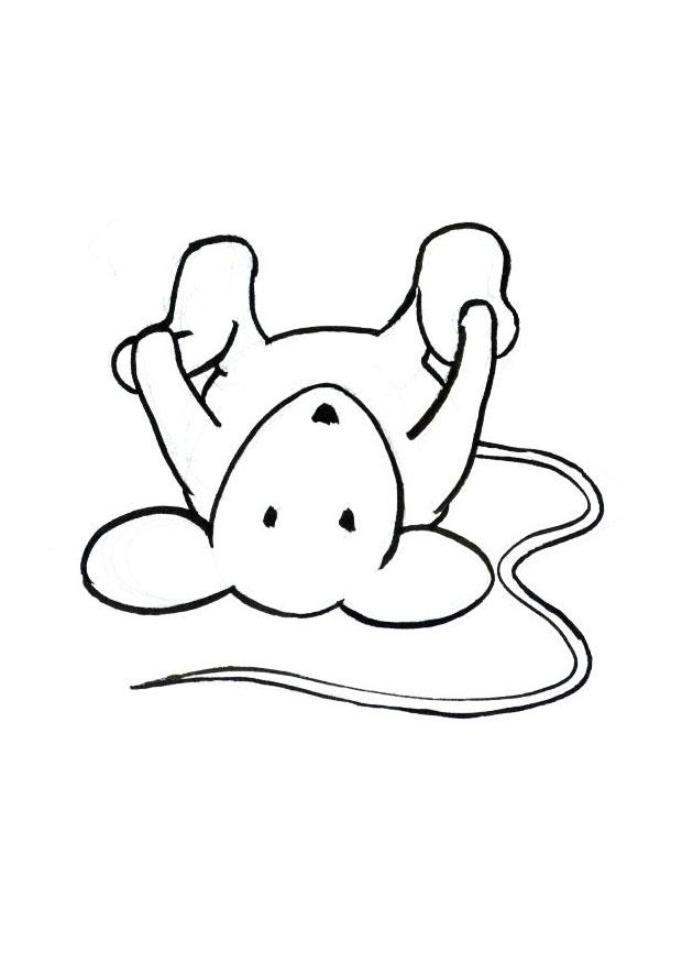 topo transi Disegno da colorare topo transi