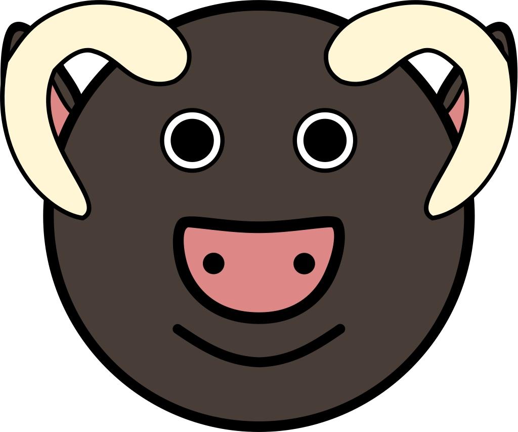 toro immagine toro