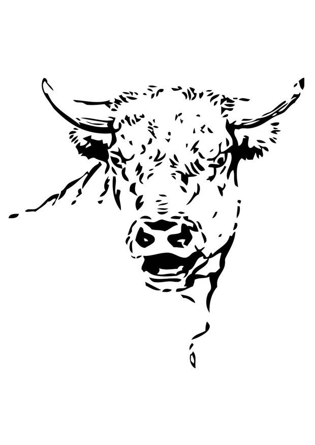 toro Disegno da colorare toro