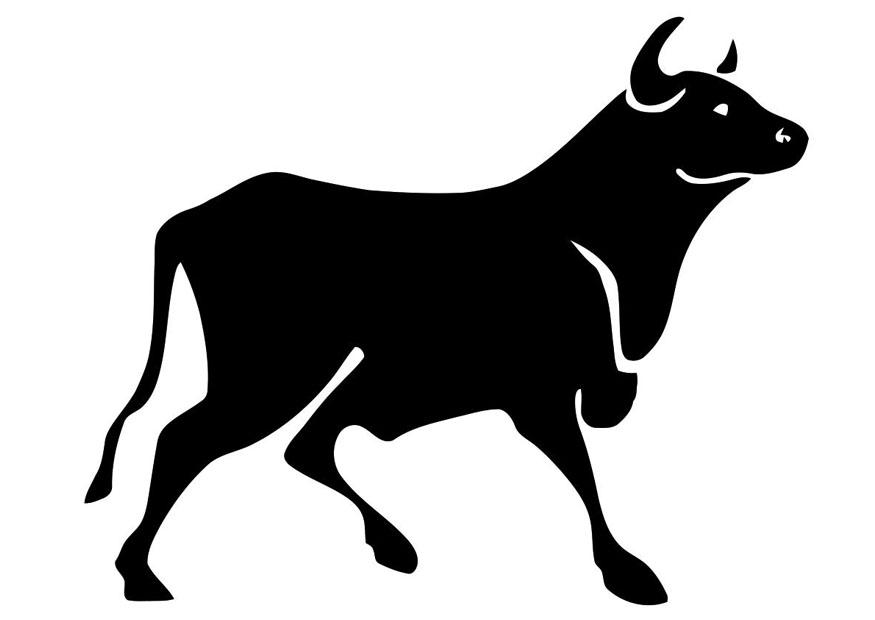 toro Disegno da colorare toro