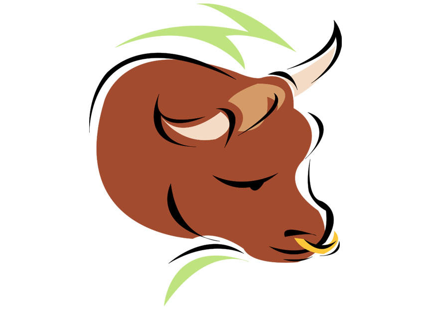 toro immagine toro
