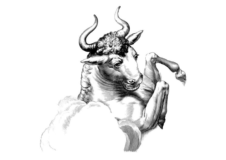 toro Disegno da colorare toro