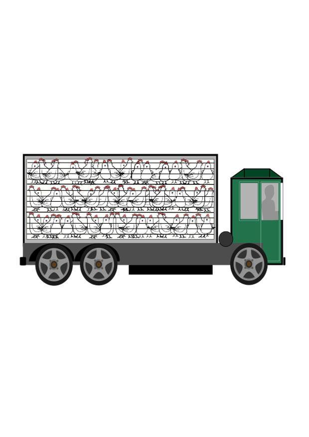 trasporti di animali immagine trasporti di animali