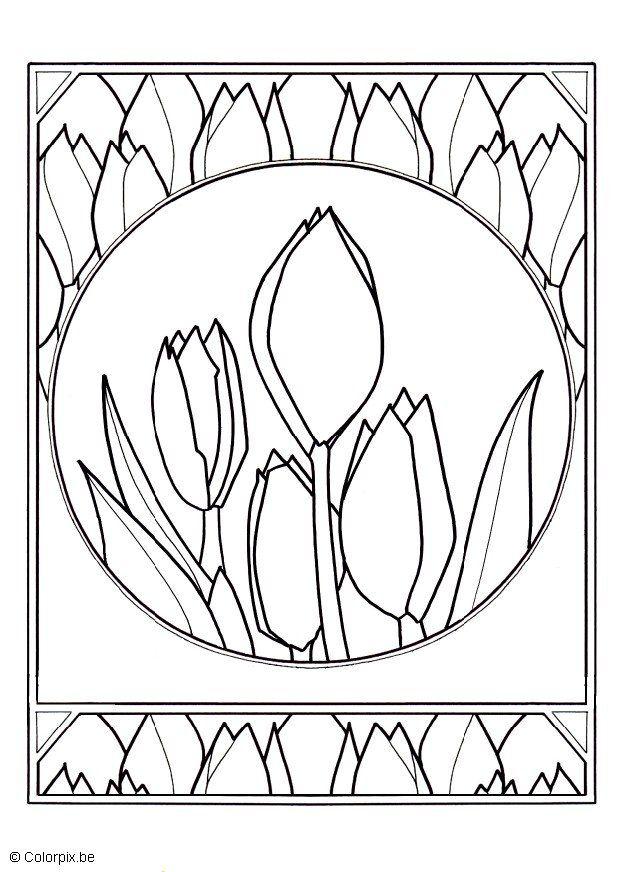 tulipani Disegno da colorare tulipani