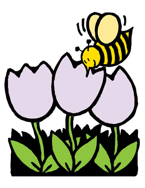 tulipani e ape immagine tulipani e ape