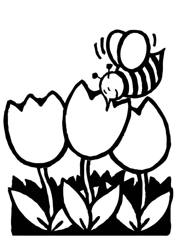 tulipani e ape Disegno da colorare tulipani e ape