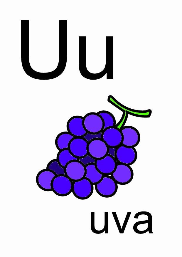 u immagine u
