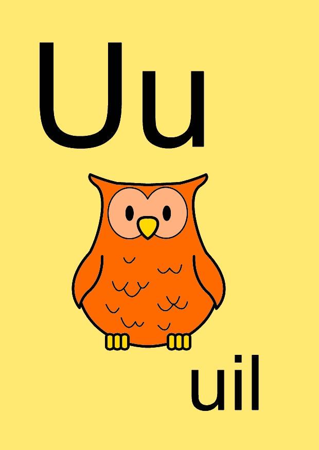 u immagine u