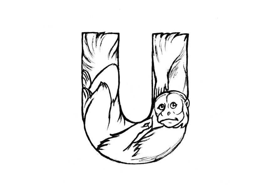 u-uakari Disegno da colorare u-uakari