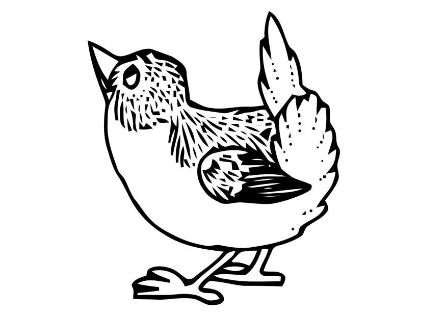 uccellino Disegno da colorare uccellino