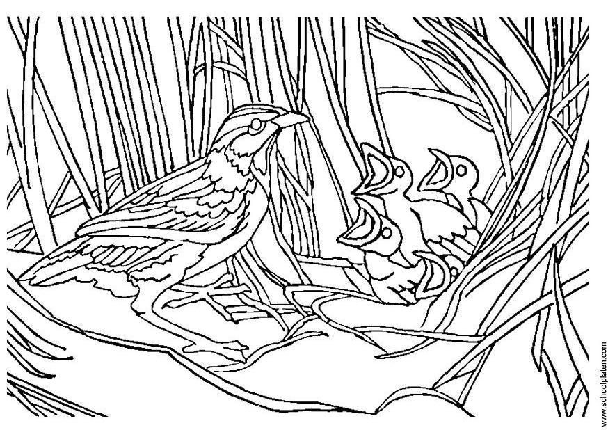 uccellino con nido Disegno da colorare uccellino con nido
