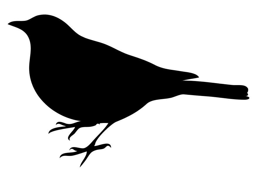 uccello Disegno da colorare uccello