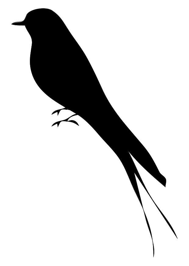 uccello Disegno da colorare uccello