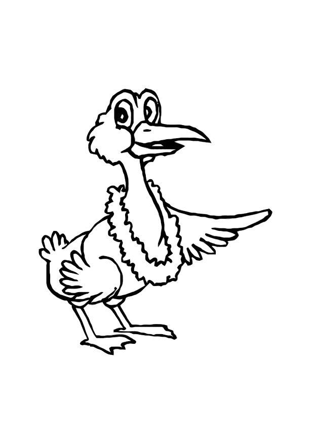 uccello Disegno da colorare uccello