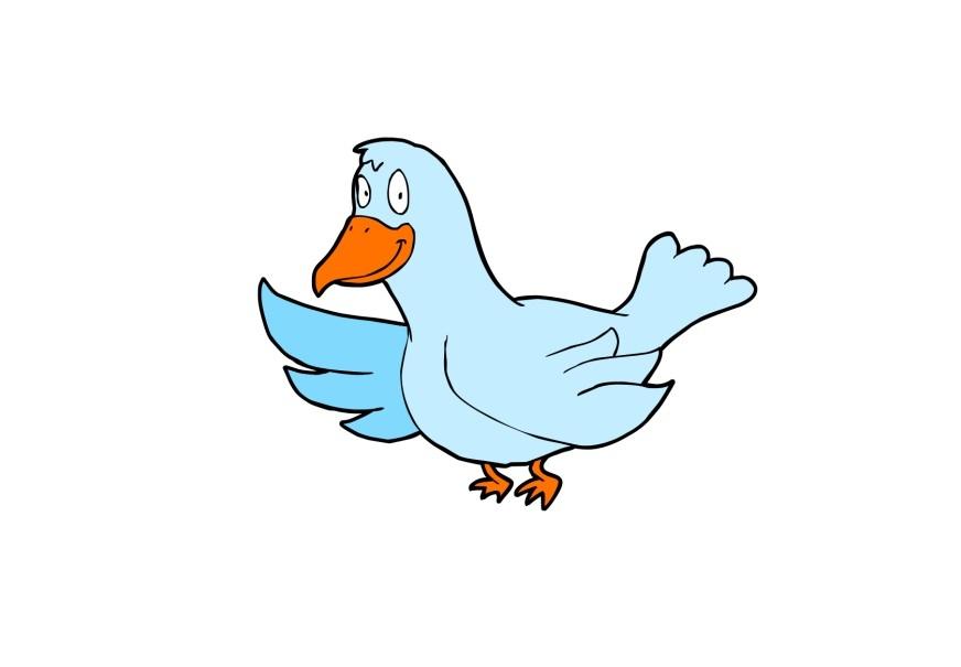 uccello immagine uccello