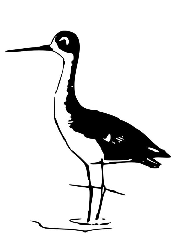 uccello Disegno da colorare uccello